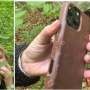 Jatuh dari Ketinggian Ekstrem, iPhone 16 Pro Ditemukan di Hutan Tanpa Cacat