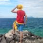 Ketika One Piece Menjadi Bahasa Politik Kaum Muda Indonesia