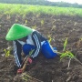 Pertamina Bina UMKM DDistillers, Ubah Lahan Kritis Jadi Lapangan Kerja bagi Ribuan Warga Desa