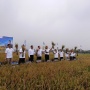 Program Jaksa Mandiri Pangan Mulai Panen, Bulog Serap Seluruh Hasil Gabah Petani