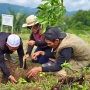 Telkom Aktif Lakukan Penanaman Bibit Pohon di Berbagai Daerah, Jaga Keanekaragaman Hayati