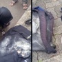 Demo Rusuh di Jakarta, Emak-emak Nangis Diduga Kena Gas Air Mata Polisi: Tas hingga Laptop Bolong!