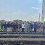 Panen Bawang Merah di Brebes Makin Optimal Berkat Petroganik, Petani Diajak Tebus Pupuk Bersubsidi