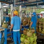 Bukan soal NIK, Masalahnya di Distribusi: Mengupas Kebijakan Gas Elpiji