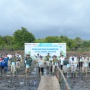 Dukung Ekosistem Hijau, Pertamina Tanam 800 Pohon Mangrove di Pesisir