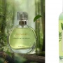 5 Rekomendasi Parfum Murah Aroma Teh Hijau: Wangi Segar, Tahan Lama, Mulai Belasan Ribu