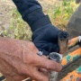 Cerita Lain usai Demo, Selongsong Gas Air Mata Laku Dijual Rp12 Ribu