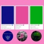 Selain Brave Pink & Resistance Blue, Ini Daftar Warna Simbol Perlawanan Rakyat Seluruh Dunia