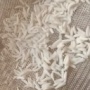 Mengenal Apa Itu Beras Kernel yang Viral di TikTok, Apakah Aman Dikonsumsi?