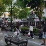 Jemput Weekend Seru di Bogor! 4 Destinasi Wisata dan Kuliner Hits yang Wajib Dicoba Gen Z