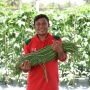 Lahan Jadi Sekolah: Petani Muda Kebumen Ini Ubah Pertanian Jadi Ajang Berbagi Ilmu