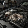 7 Trik Usir Tikus dari Mesin Mobil, Nomor 4 Jarang Diketahui