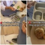 Viral! Saat Makanan MBG Tak Habis, Siswa Punya Cara Cerdas Mengubahnya Jadi Kebaikan