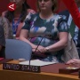 14 Negara Setuju, AS Sendirian Veto Resolusi Gencatan Senjata Gaza di DK PBB