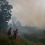 Kalimantan Disebut Setengah Neraka, Pemerintah Didesak Tetapkan Status Bencana Nasional Karhutla