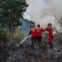 Kebakaran Hutan Dunia Meningkat Tajam, Dampak Ekonomi dan Risiko Kemanusiaan Kian Parah