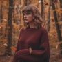 10 Prompt Gemini AI Edit Foto Kamu Jadi Cover Album Taylor Swift