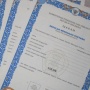 Cara Mudah Cek Ijazah Asli atau Palsu Secara Online, Apa Saja yang Dibutuhkan?