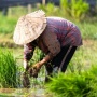 Hari Tani Nasional: Ini Sejarah dan Makna yang Perlu Kamu Tahu