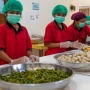 Gaji Karyawan Dapur MBG, Diproyeksi Bisa Capai Rp 7 Juta per Bulan?