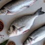 Bukan Hiu, Ini 10 Ikan Protein Tinggi yang Enak, Sehat, dan Gak Bikin Keracunan