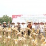 127 Hektar Lahan Jagung Dipanen, Begini Strategi Polda Riau