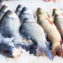 Kerap Dianggap Limba, Pakar IPB Ungkap Kepala Hingga Sisik Ikan Bisa Bernilai Ekonomis