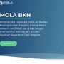 Cek NI PPPK di Mola BKN Terkendala Error? Ini Solusinya