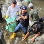 DAS Ciliwung Jadi Lokasi Aksi Bersih PLN dan KLH: Angkut 176 Kg Sampah dan Tanam 2.500 Pohon