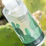 4 Toner Kaktus yang Bikin Kulit Lembap & Fresh Seharian, Mulai Rp100 Ribuan