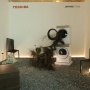 Toshiba Rilis Japandi Series, Gabungkan Teknologi Canggih dan Desain Skandinavia