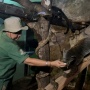 Heboh Pakan Satwa Ragunan Dibawa Pulang Petugas, Pramono Membantah: Harimaunya Tak Keluarin Nanti