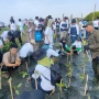 Bersama Warga, PLN Rehabilitasi Mangrove Lindungi Pesisir Utara Jateng dari Banjir Rob