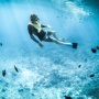Menyelam ke Keindahan: Tempat Snorkeling Terbaik di Karimunjawa