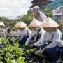 BRI Peduli Ubah Lahan Sempit Jadi Lumbung Pangan Lewat Program BRInita