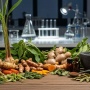 Industri Herbal RI Mulai Hilirisasi, Tak Mau Lagi Jual Bahan Mentah