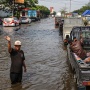 Penurunan Muka Tanah dan Hilangnya Mangrove Bikin Pantura Kian Rentan Banjir Rob, Adakah Solusinya?