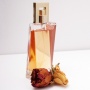 9 Parfum Unik 2025: Tren Aneh yang Membuat Kamu Terpesona!