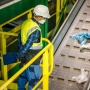 Pengen Berkiprah di Pekerjaan Hijau? Ini Tiga Sektor Pekerjaan Hijau Paling Menjanjikan