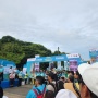 DPD RI Gaungkan Gerakan Green Democracy Lewat Fun Walk dan Penanaman Pohon Damar