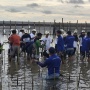 Mangrovolution Tanam 1000 Mangrove di Bantul: Aksi Nyata Jaga Pesisir Yogyakarta