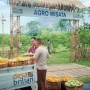 Desa BRILiaN dari BRI Jadi Pilar Pemerataan Ekonomi Nasional
