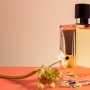 Parfum Dupe Apakah Sama dengan Parfum KW? Ini 5 Pilihan yang Murah dan Wanginya Mewah