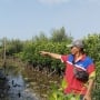 Hidup di Balik Tanggul Luat Raksasa: Kisah Warga Tambakrejo Membangun Harapan dari Akar Mangrove