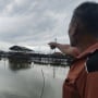 Mangrove Bukan Sekadar Benteng Pesisir: Lebih dari Penjaga Karbon, Penopang Kehidupan Laut