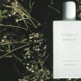 7 Parfum Aroma Hutan untuk Pekerja Kantoran yang Menenangkan dan Bikin Rileks