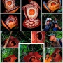 Proyek Ambisius Lintas Negara: BRIN Gandeng Oxford Telusuri DNA Rafflesia
