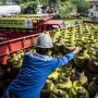 Kementerian ESDM Buka Peluang Impor Gas dari AS untuk Penuhi Kebutuhan LPG 3Kg