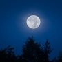 Supermoon 5 Desember 2025 Apakah Berbahaya? Waspada Banjir Rob