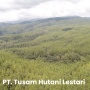 PT Tusam Hutani Lestari Punya Siapa? Menguasai Lahan Hutan Aceh Sejak Era Soeharto